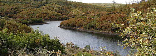 Hayedo de la Pedrosa Flussarm Provinz Segovia